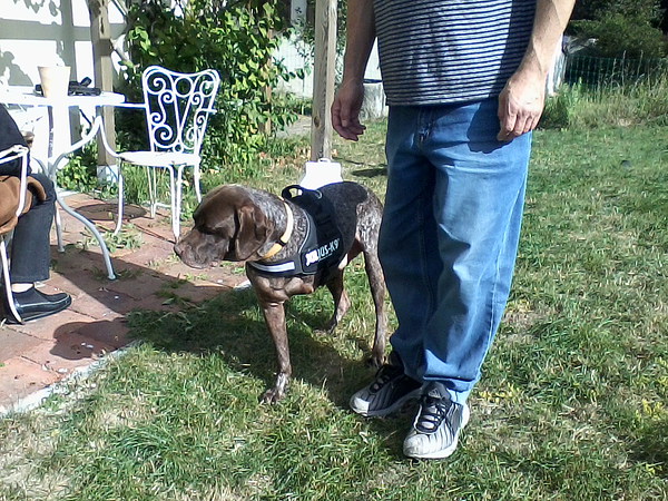 med_Bumi - der 3-Beiner.jpg (600 x 450)